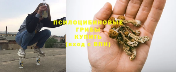 гидра Алзамай