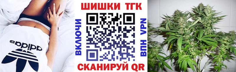 продажа наркотиков  кракен вход  Бошки марихуана AK-47  Каргат 